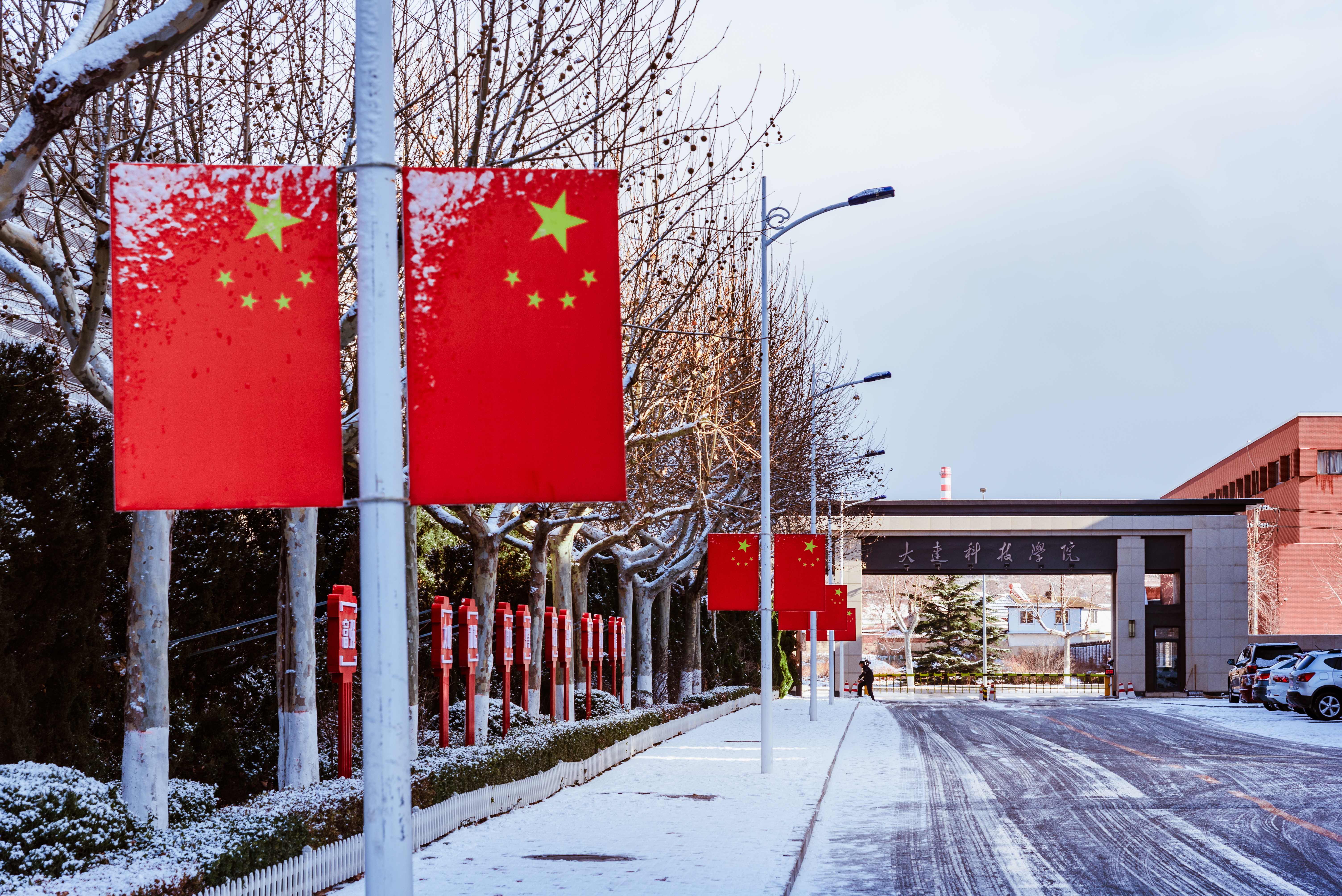 雪景大科