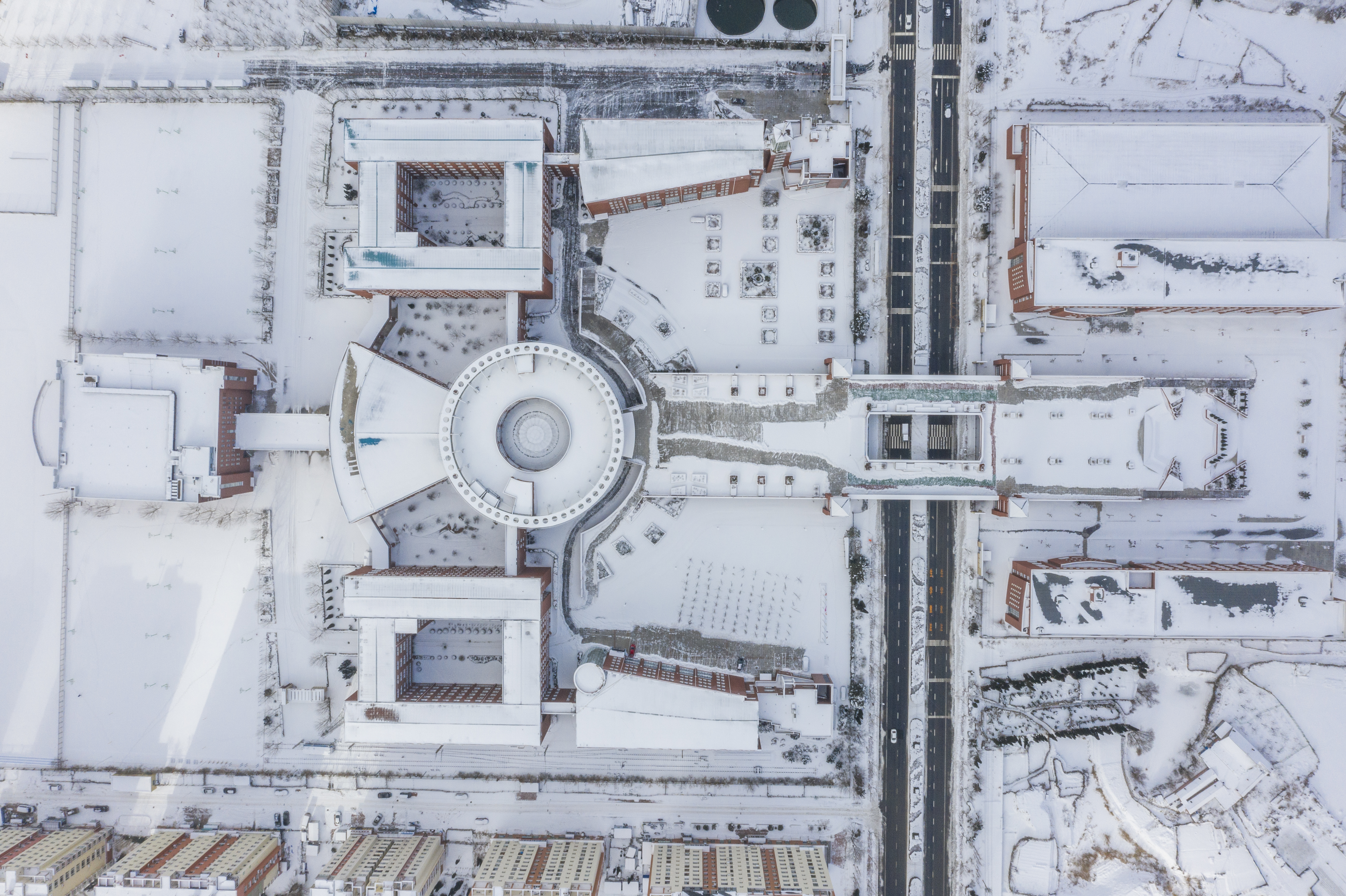 雪景大科